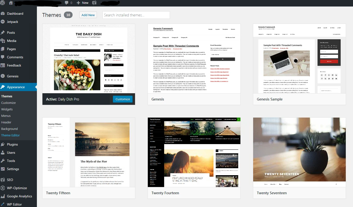 WordPress Dashboard and Themes