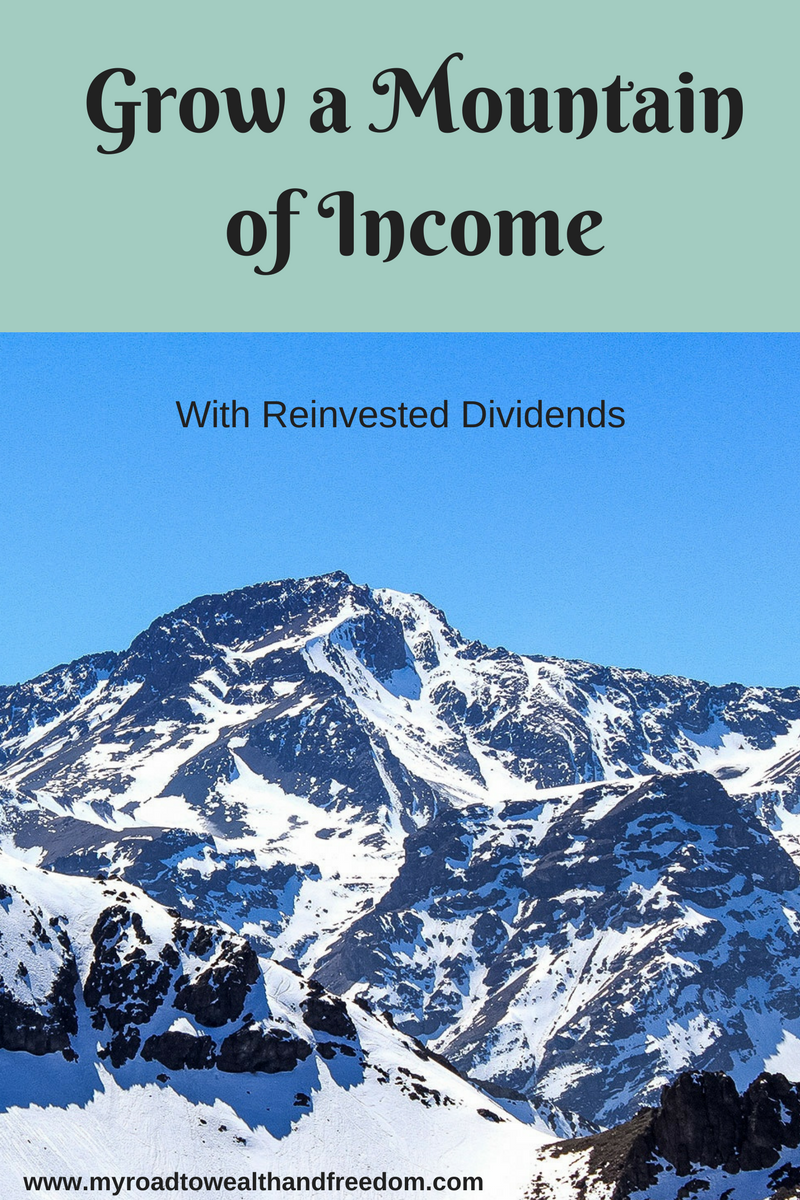 Reinvesting Dividends