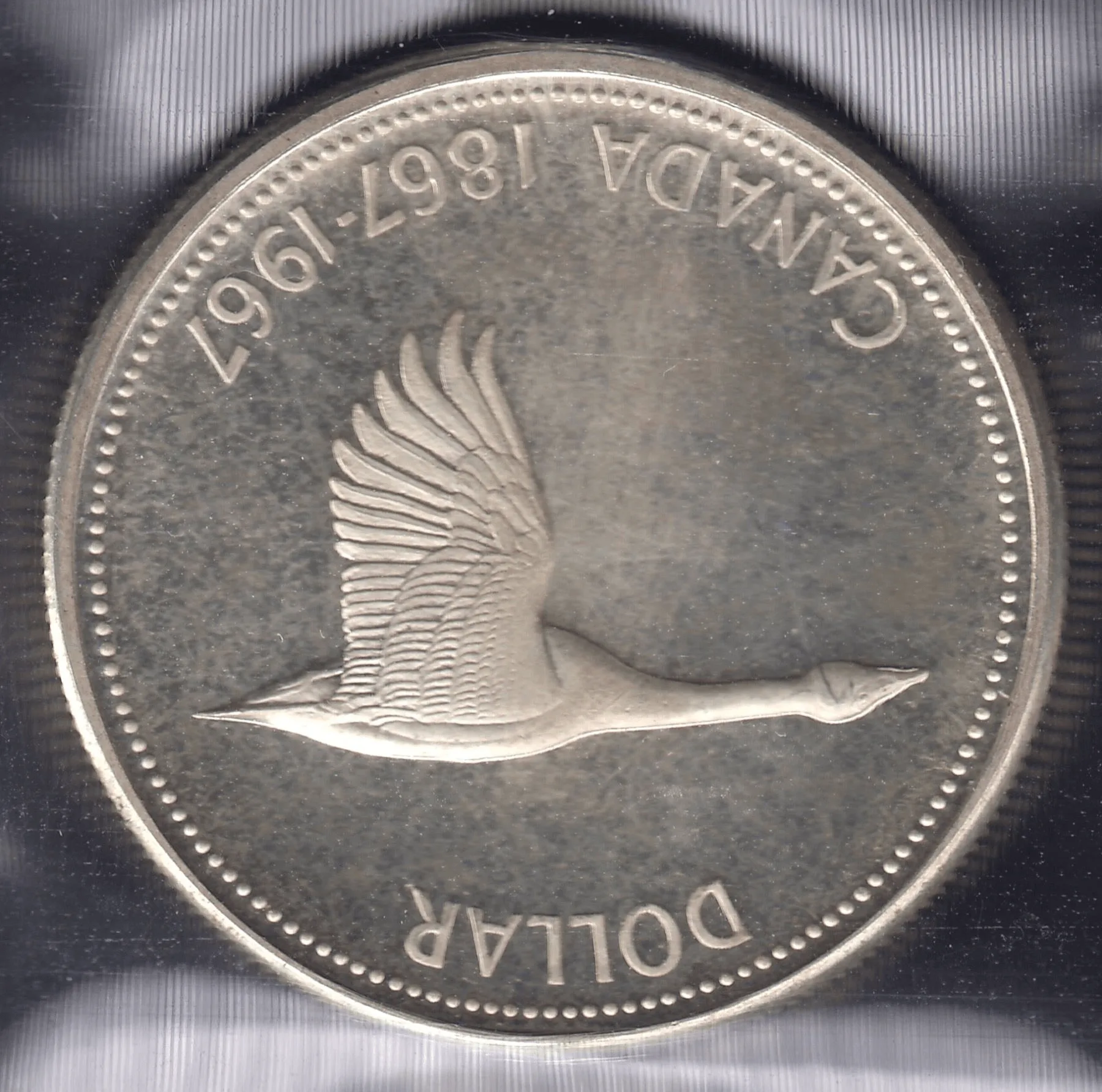 expensive 1967 Canada goose dollar upset dies