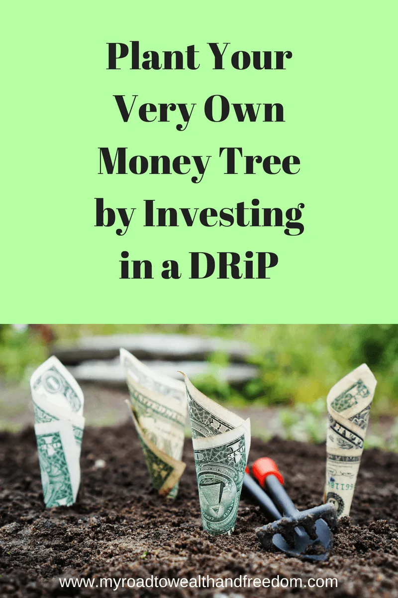 Invest in dividend stocks