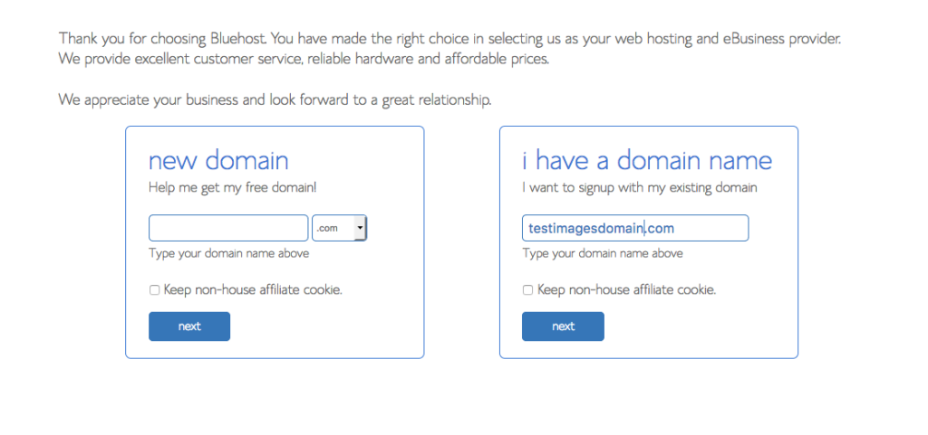 Bluehost free domain