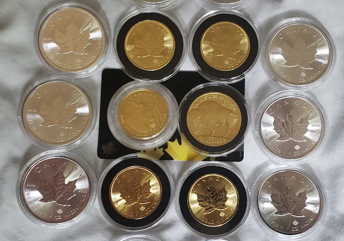 Gold and Silver Coins